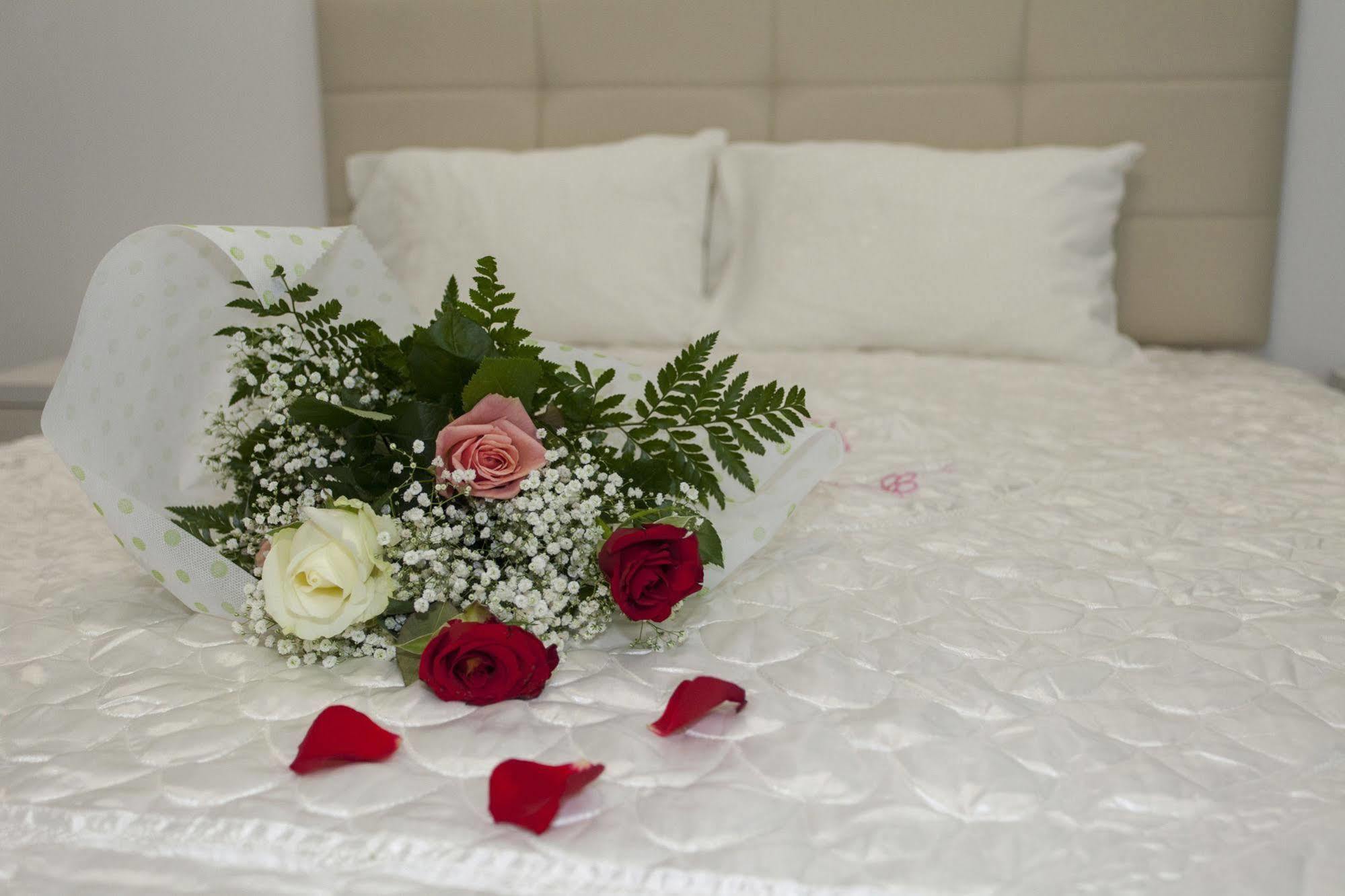 Oasis Exclusive Aparthotel ปาร์กา ภายนอก รูปภาพ